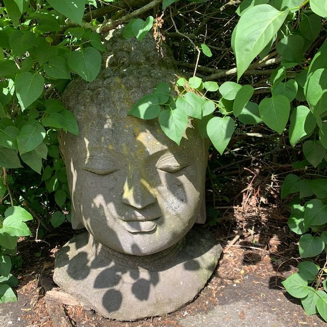 boeddhakop-boeddha-buddha-tuinbeeld