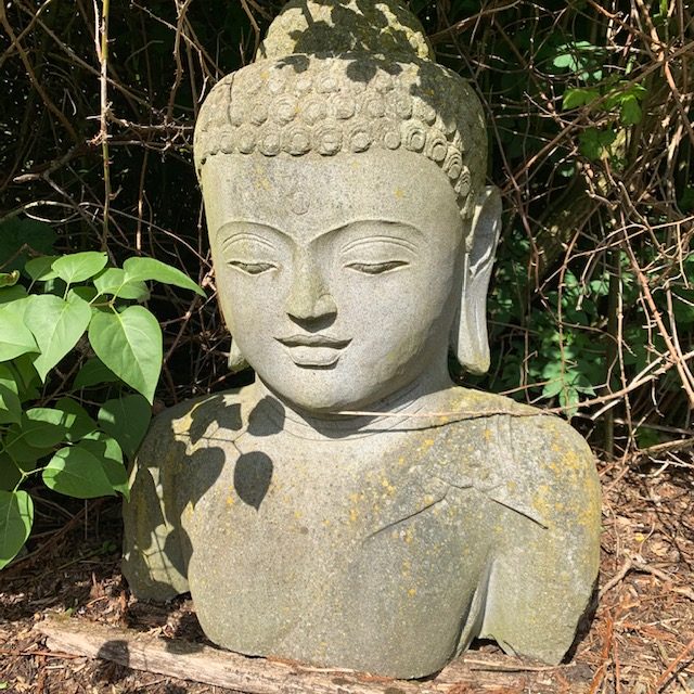 boeddhakop-boeddha-buddha-tuinbeeld